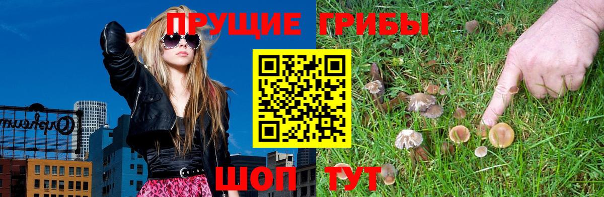 цены наркотик  Галлюциногенные грибы прущие грибы  Ейск  Вход с VPN  Псилоцибиновые грибы мухоморы 